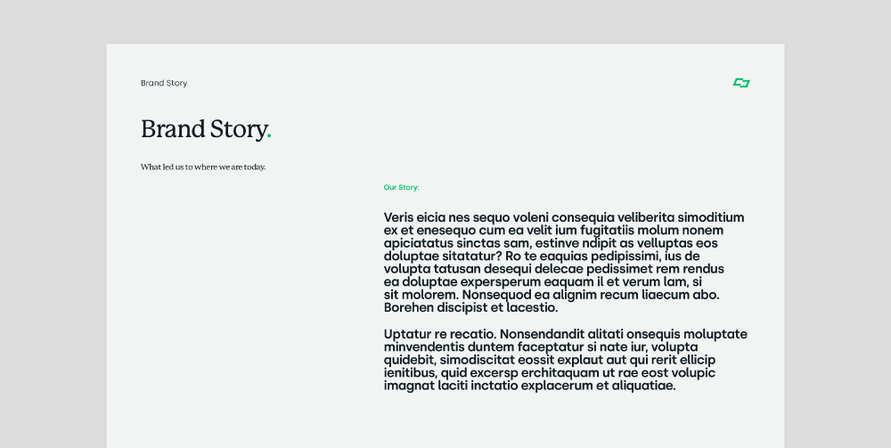 Brand story explained within brand guidelines