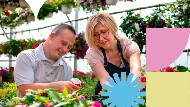 Blyth Star Enterprises featured image with new graphic design pattern